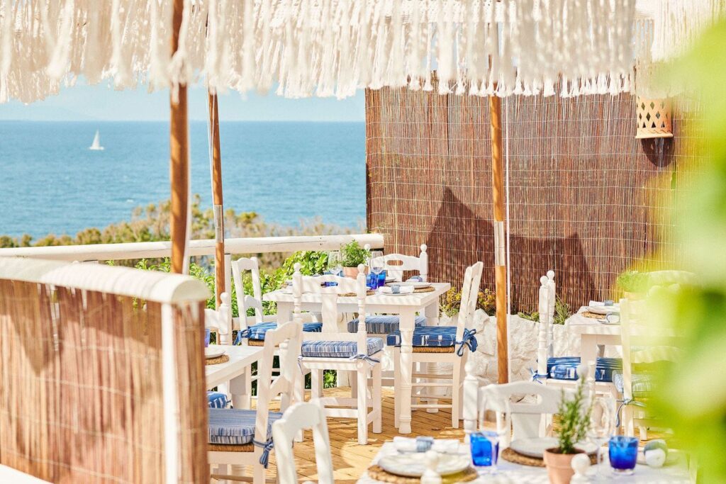 el mirlo eventos